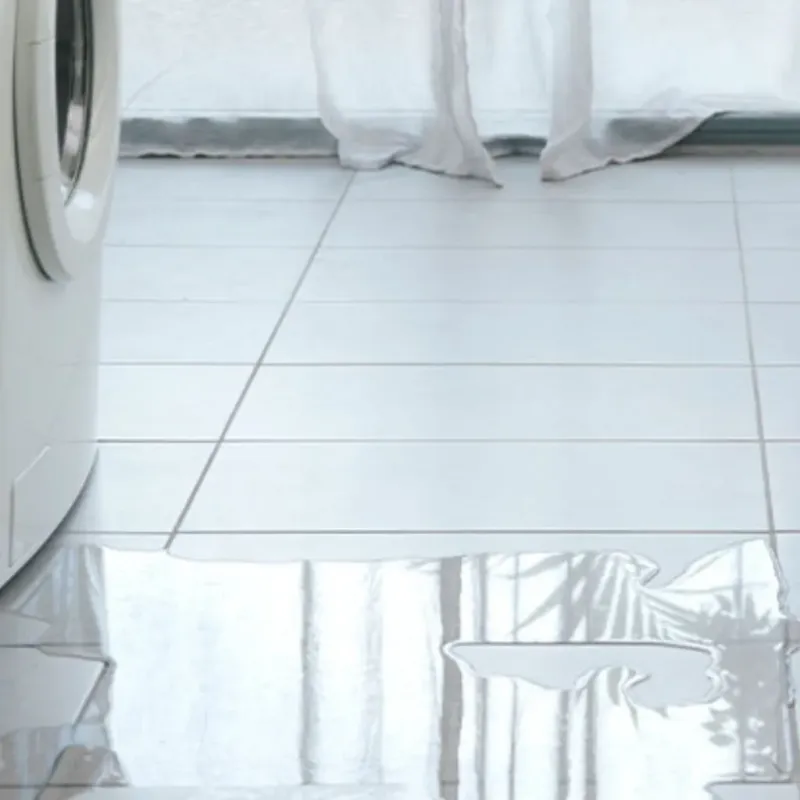 Appliance Leak Cleanup in Hollywood, FL