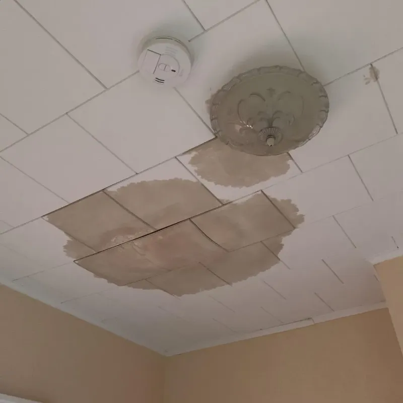 Ceiling Water Damage Repair in Hollywood, FL